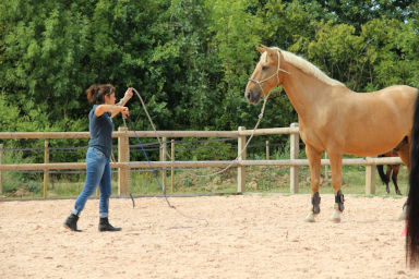 Travaillons ensemble dès maintenant