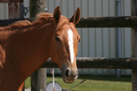 Demander moi plus d'informations